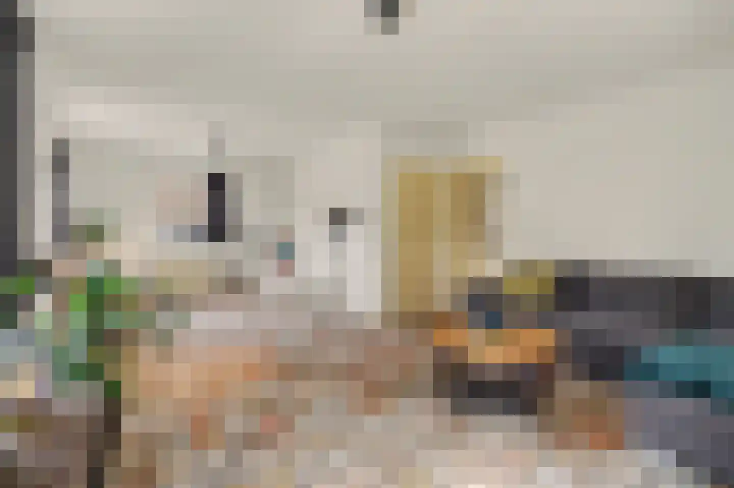 Bieshof 4 Hoogeloon thumbnail 11