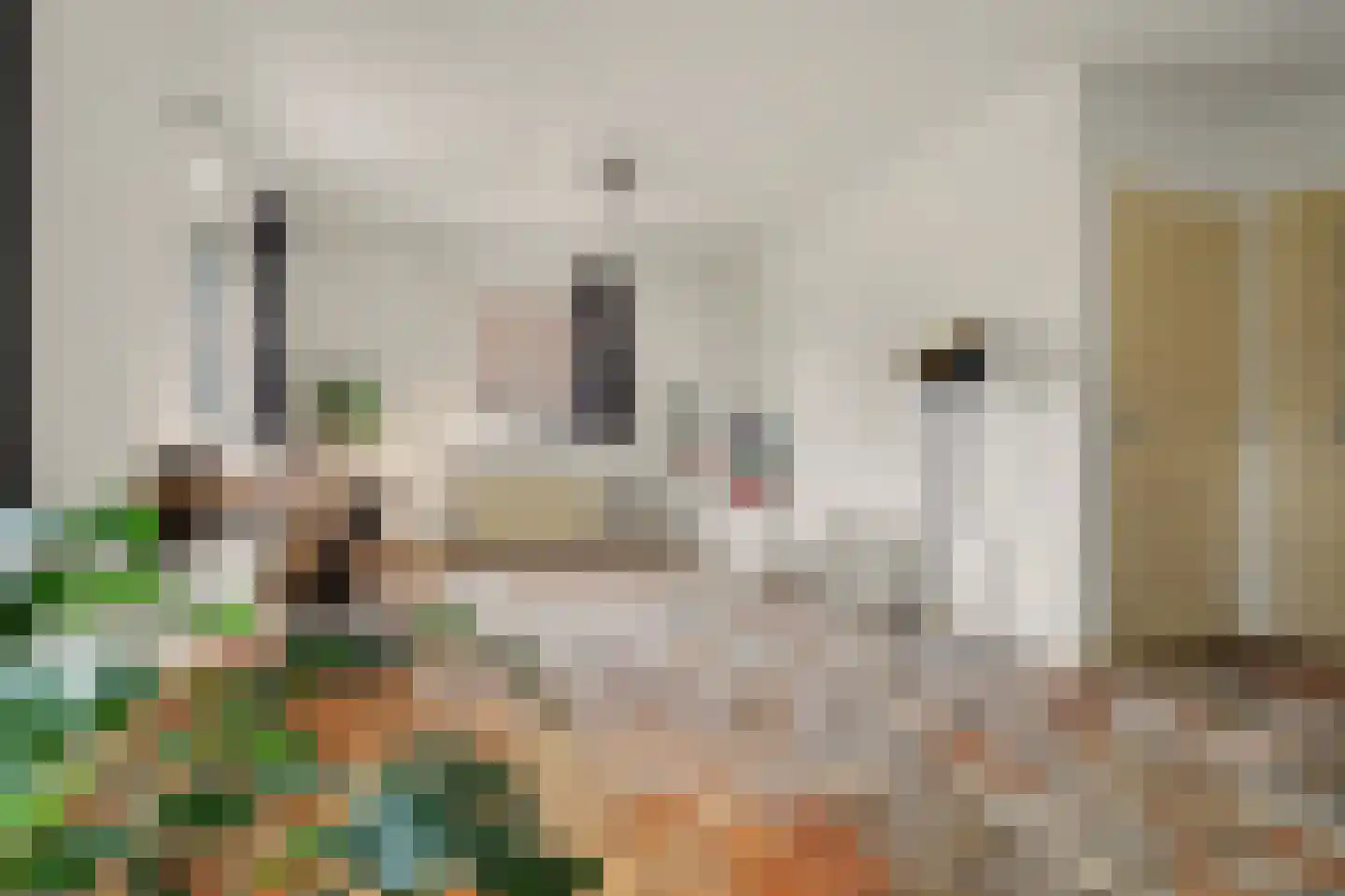 Bieshof 4 Hoogeloon thumbnail 12