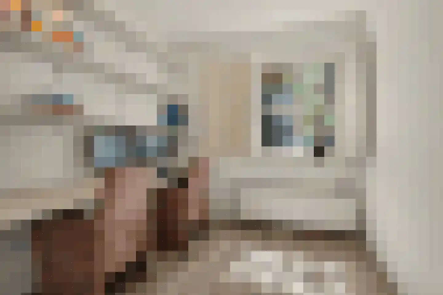 Bieshof 4 Hoogeloon thumbnail 13