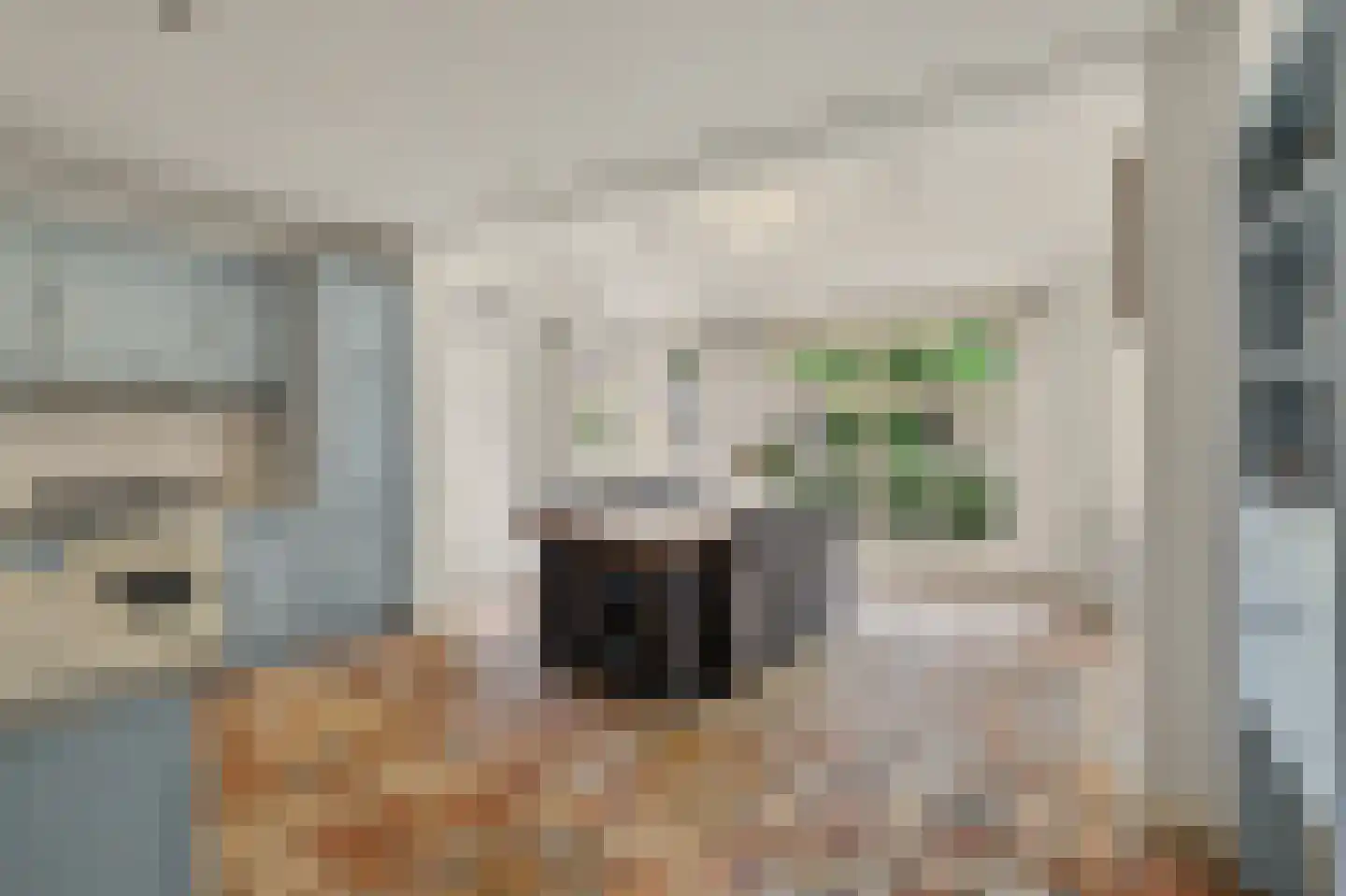 Bieshof 4 Hoogeloon thumbnail 14