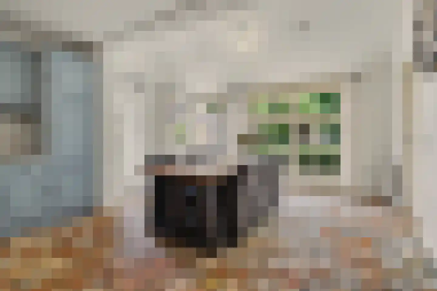Bieshof 4 Hoogeloon thumbnail 16