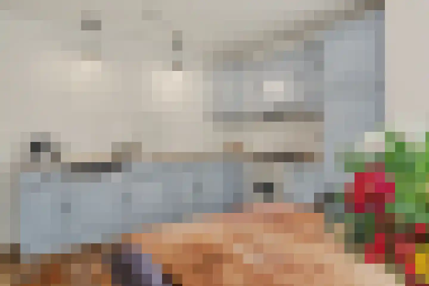 Bieshof 4 Hoogeloon thumbnail 18