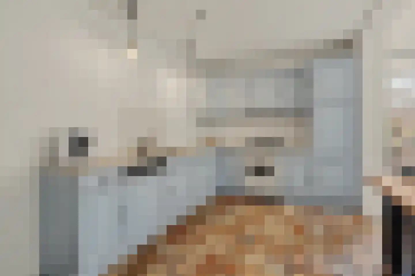 Bieshof 4 Hoogeloon thumbnail 19