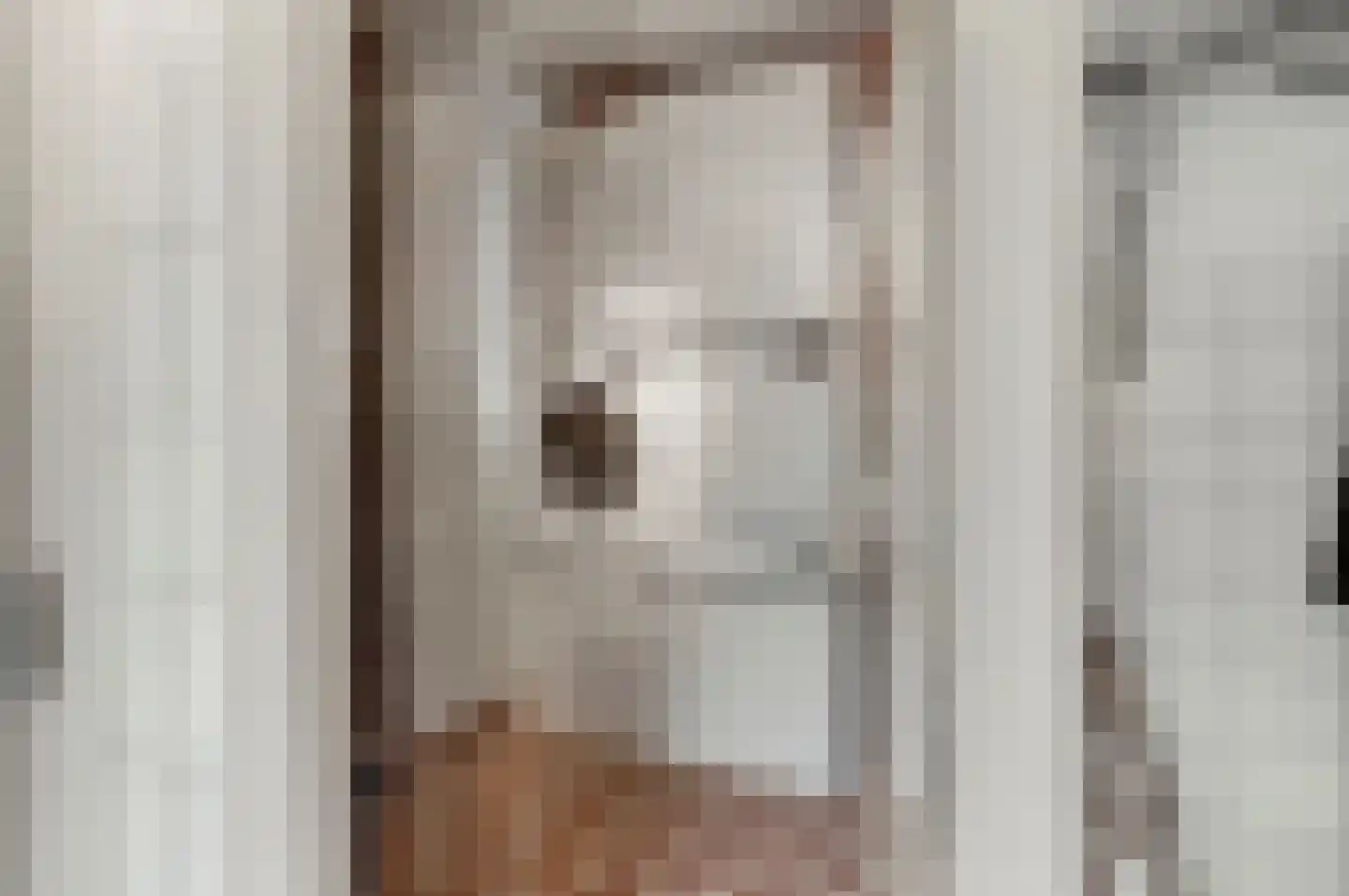 Bieshof 4 Hoogeloon thumbnail 21