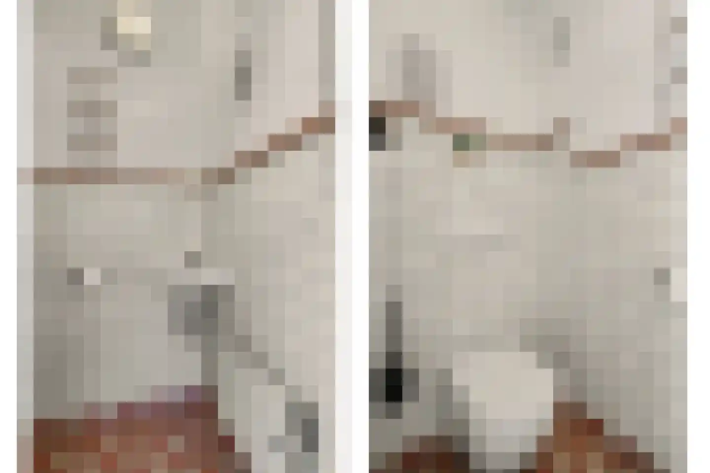 Bieshof 4 Hoogeloon thumbnail 22