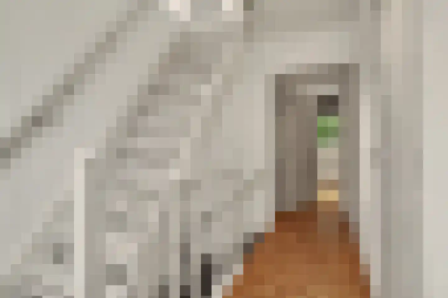 Bieshof 4 Hoogeloon thumbnail 23