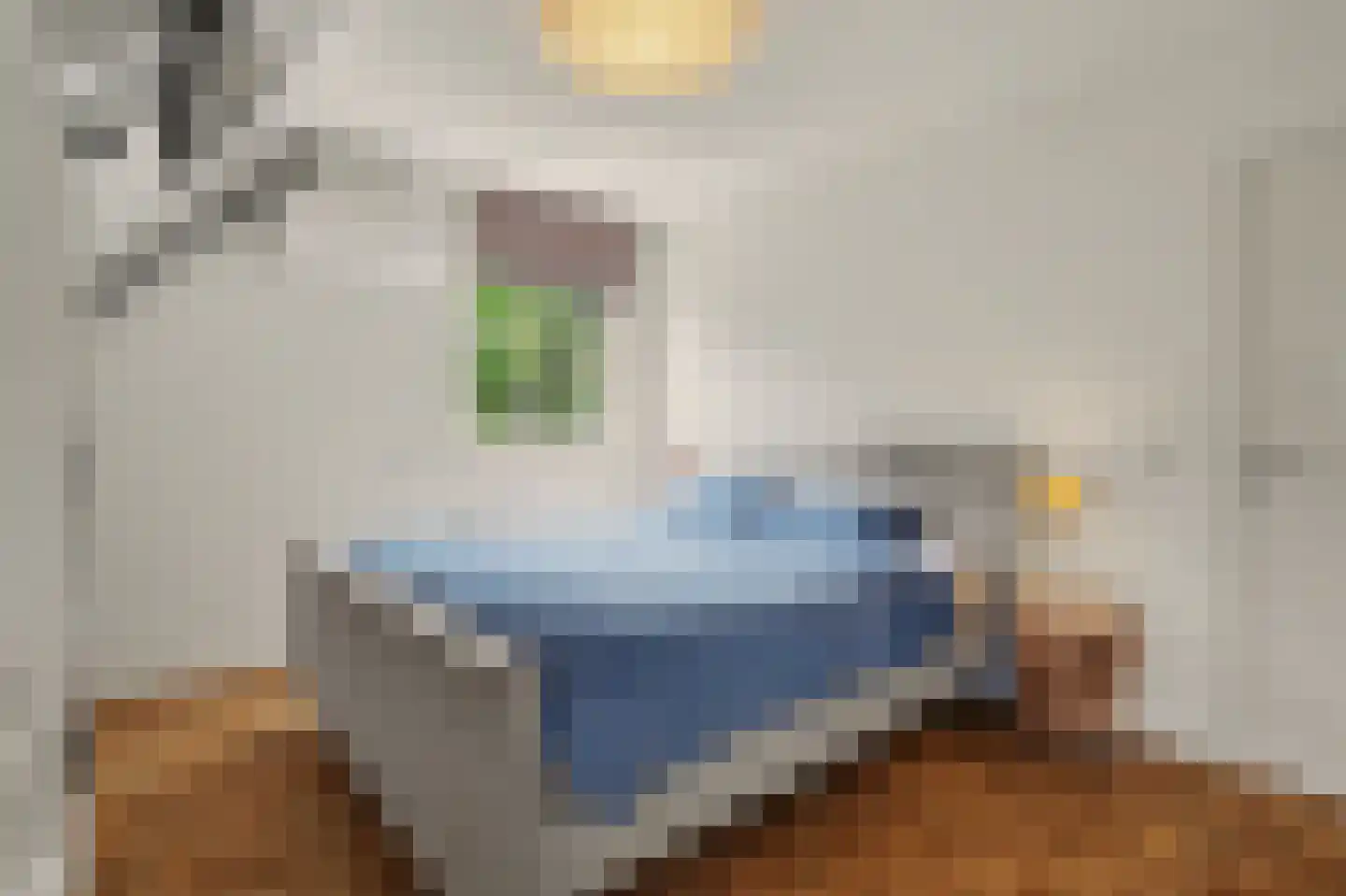 Bieshof 4 Hoogeloon thumbnail 24