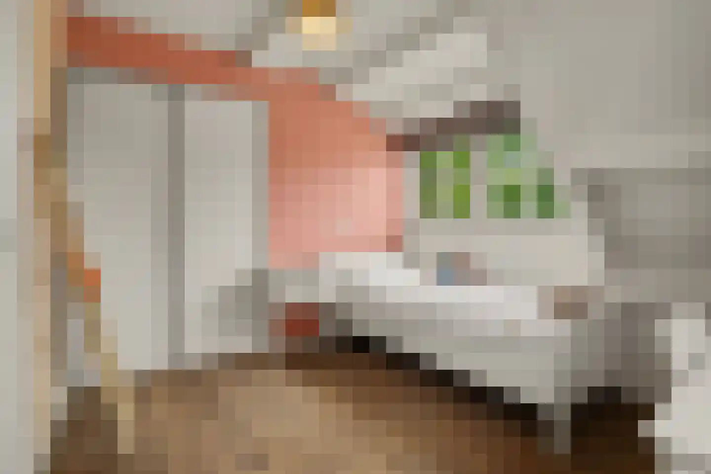 Bieshof 4 Hoogeloon thumbnail 29