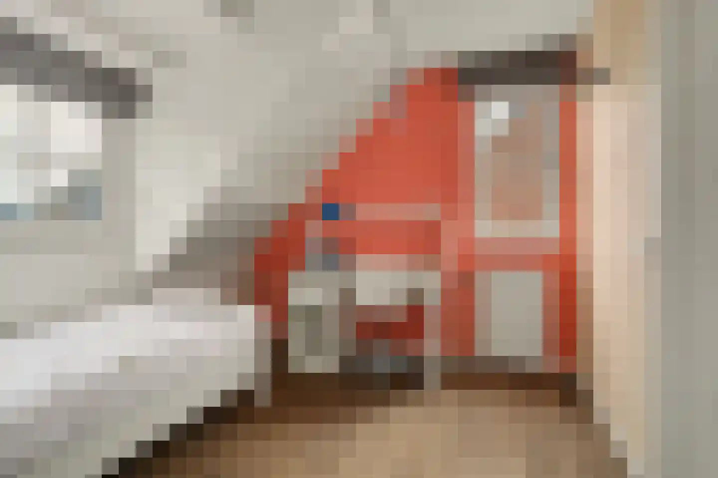 Bieshof 4 Hoogeloon thumbnail 30