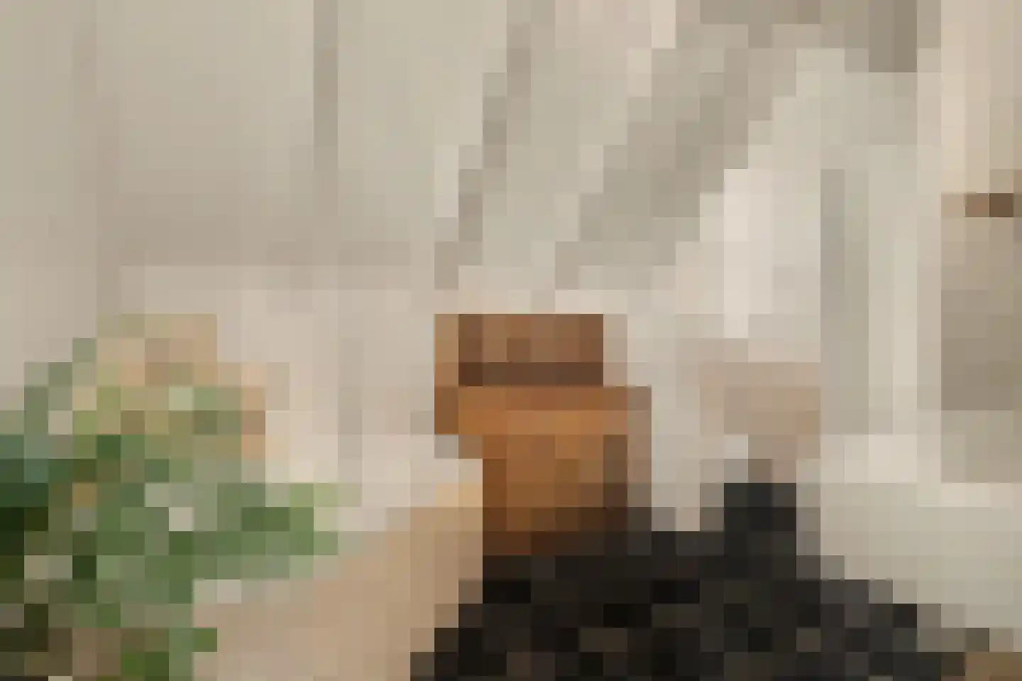 Bieshof 4 Hoogeloon thumbnail 31