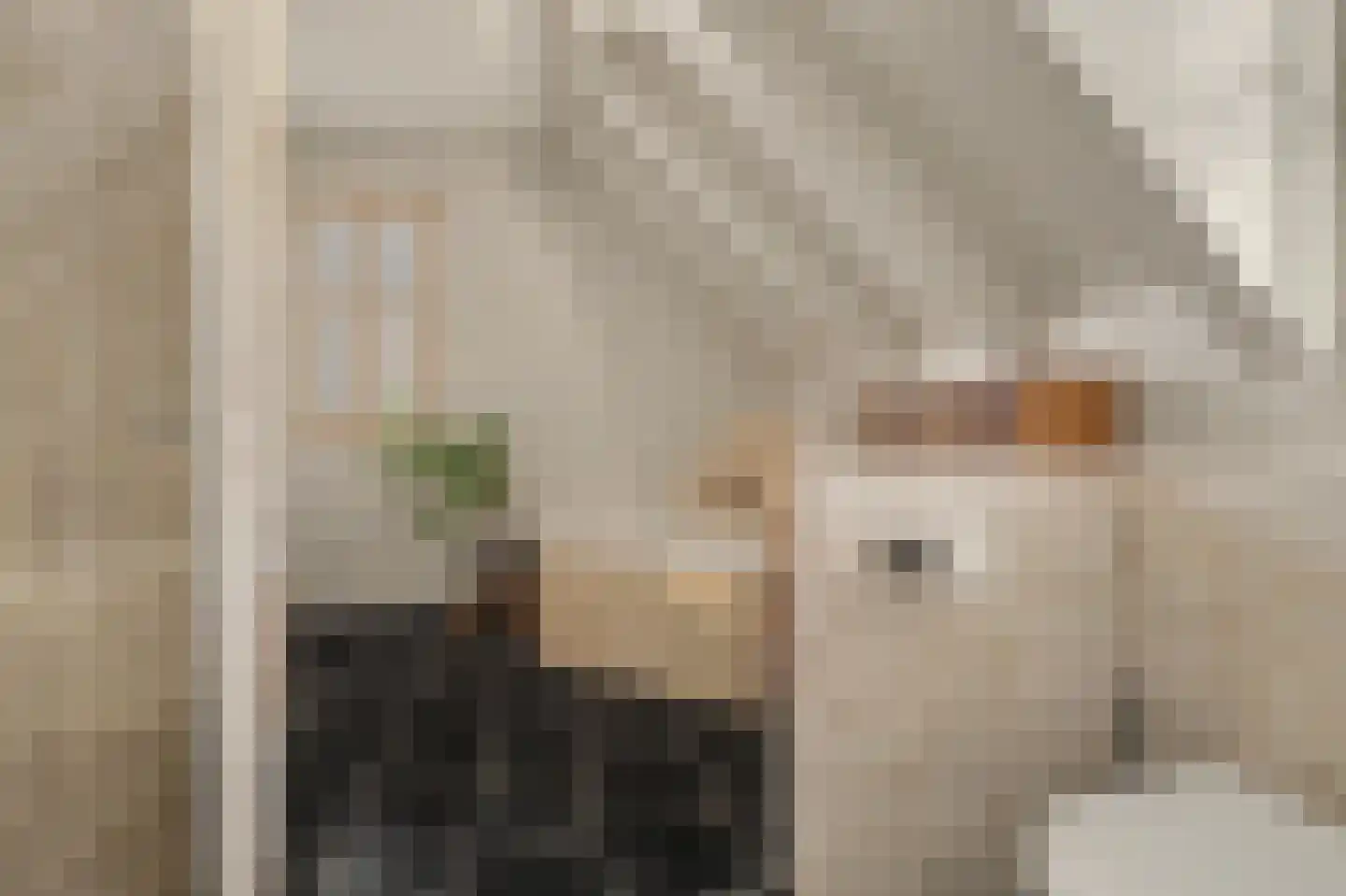 Bieshof 4 Hoogeloon thumbnail 32