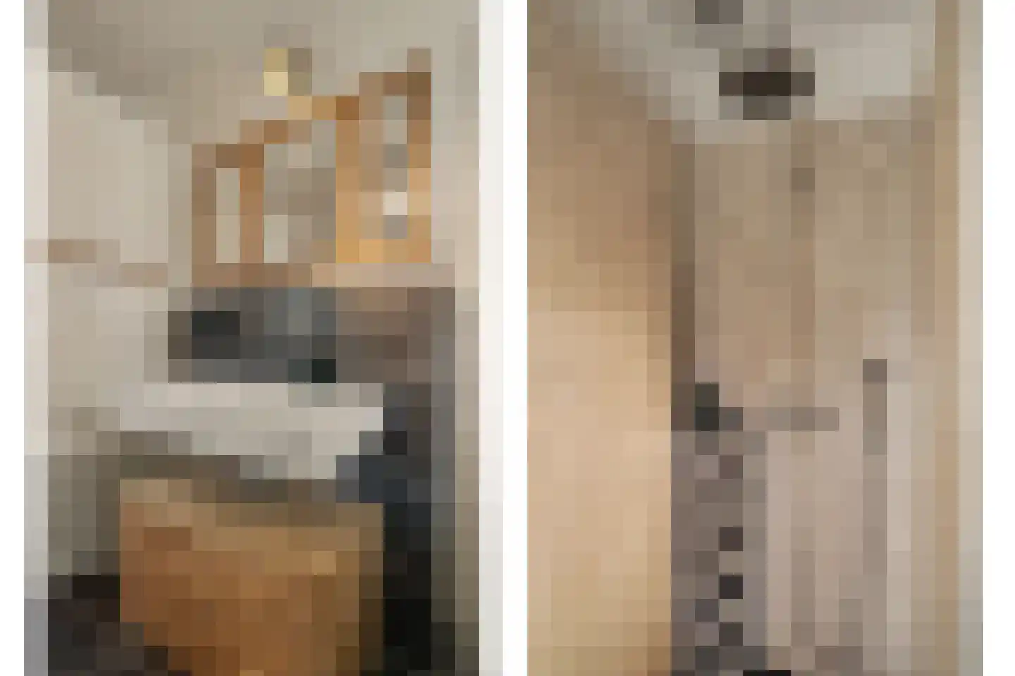 Bieshof 4 Hoogeloon thumbnail 33