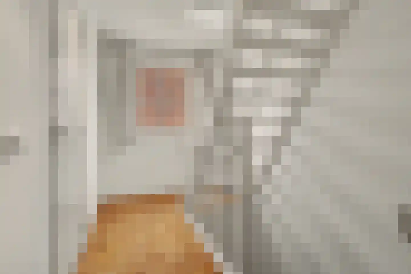 Bieshof 4 Hoogeloon thumbnail 34