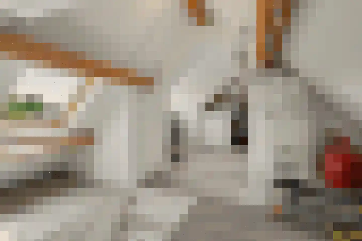 Bieshof 4 Hoogeloon thumbnail 36
