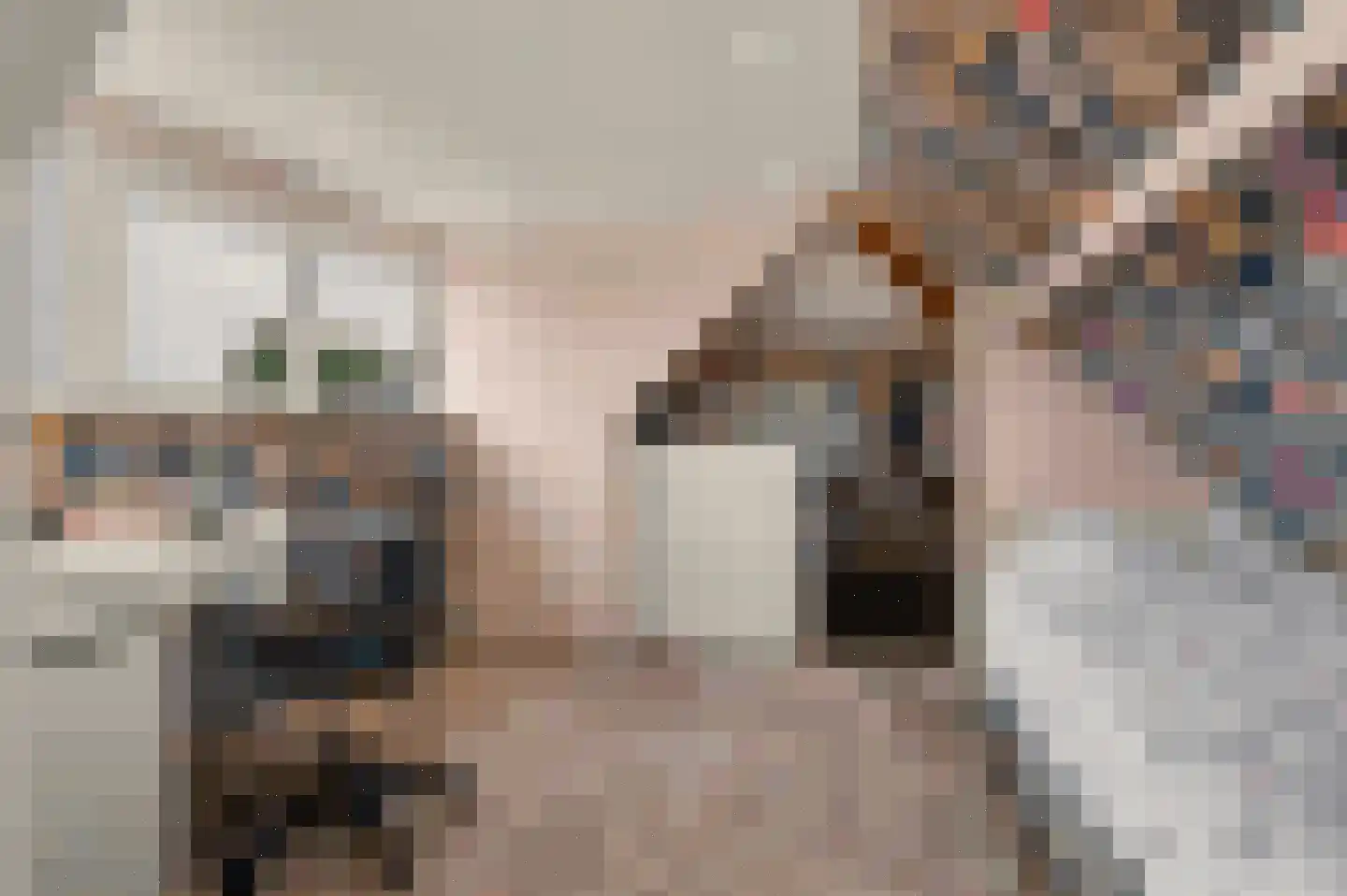 Bieshof 4 Hoogeloon thumbnail 37