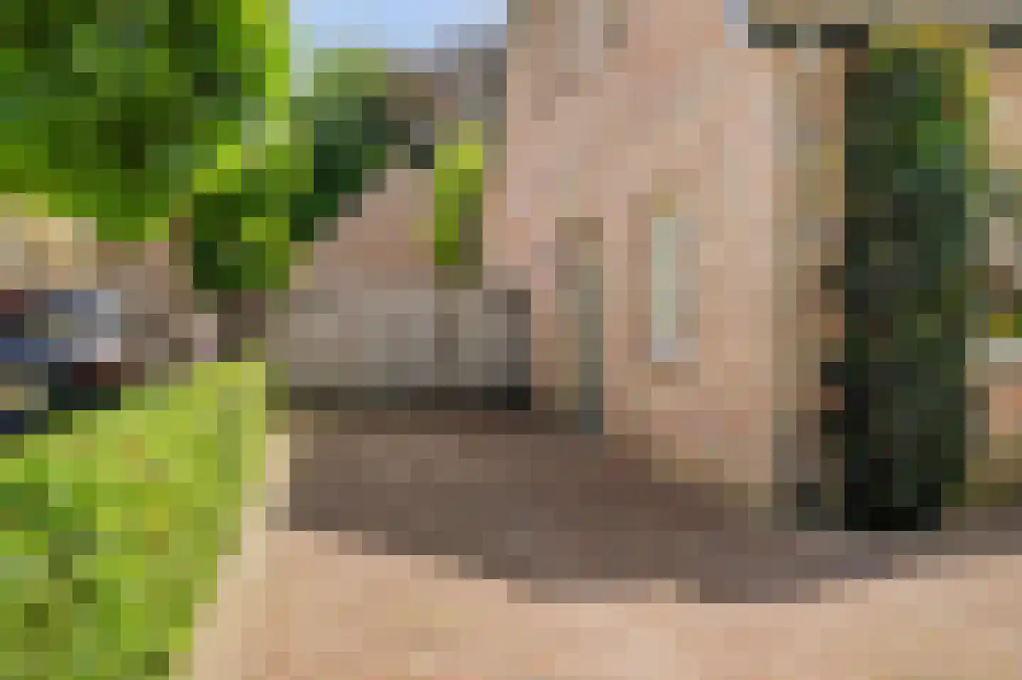 Bieshof 4 Hoogeloon thumbnail 4