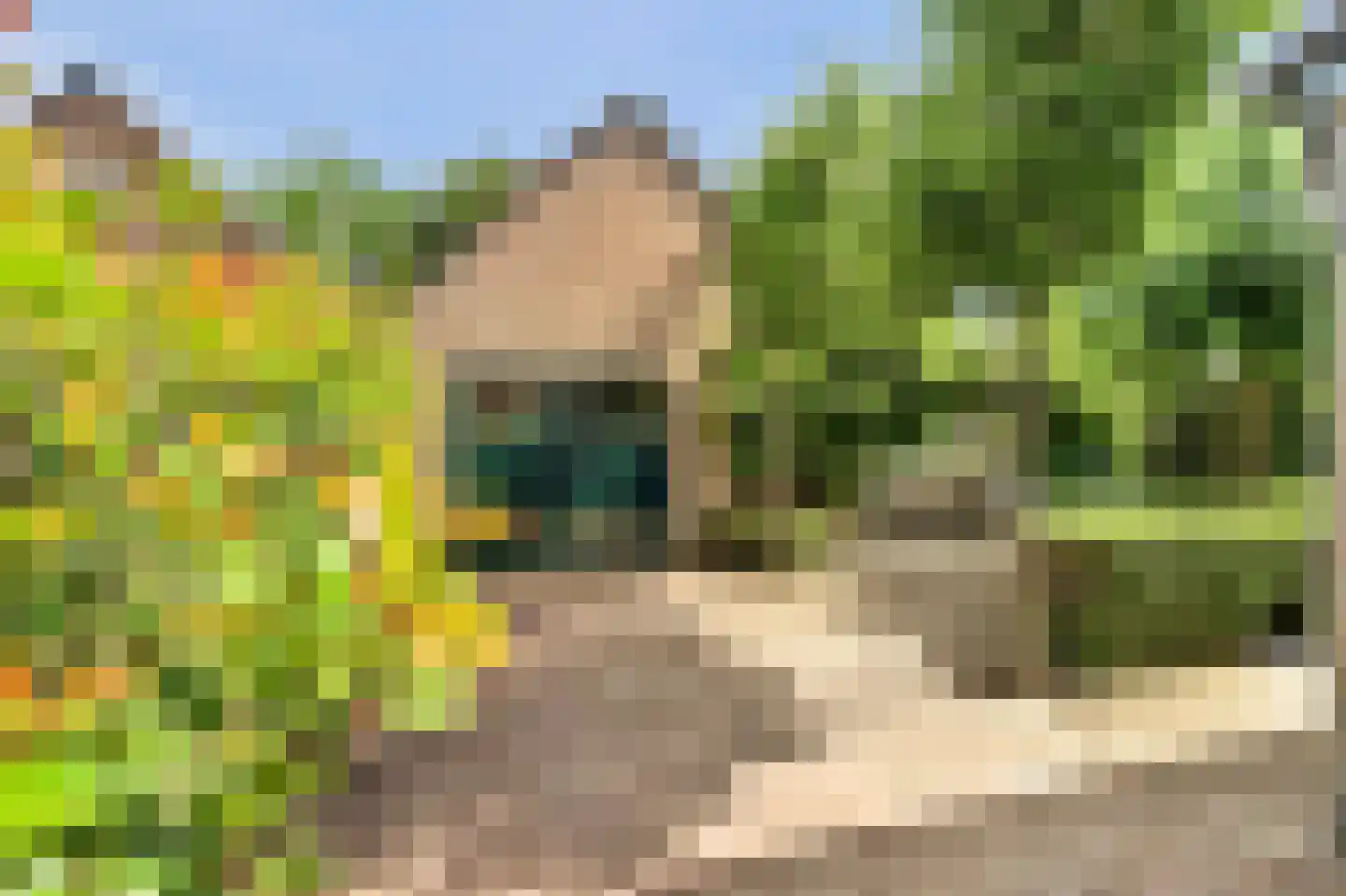 Bieshof 4 Hoogeloon thumbnail 40