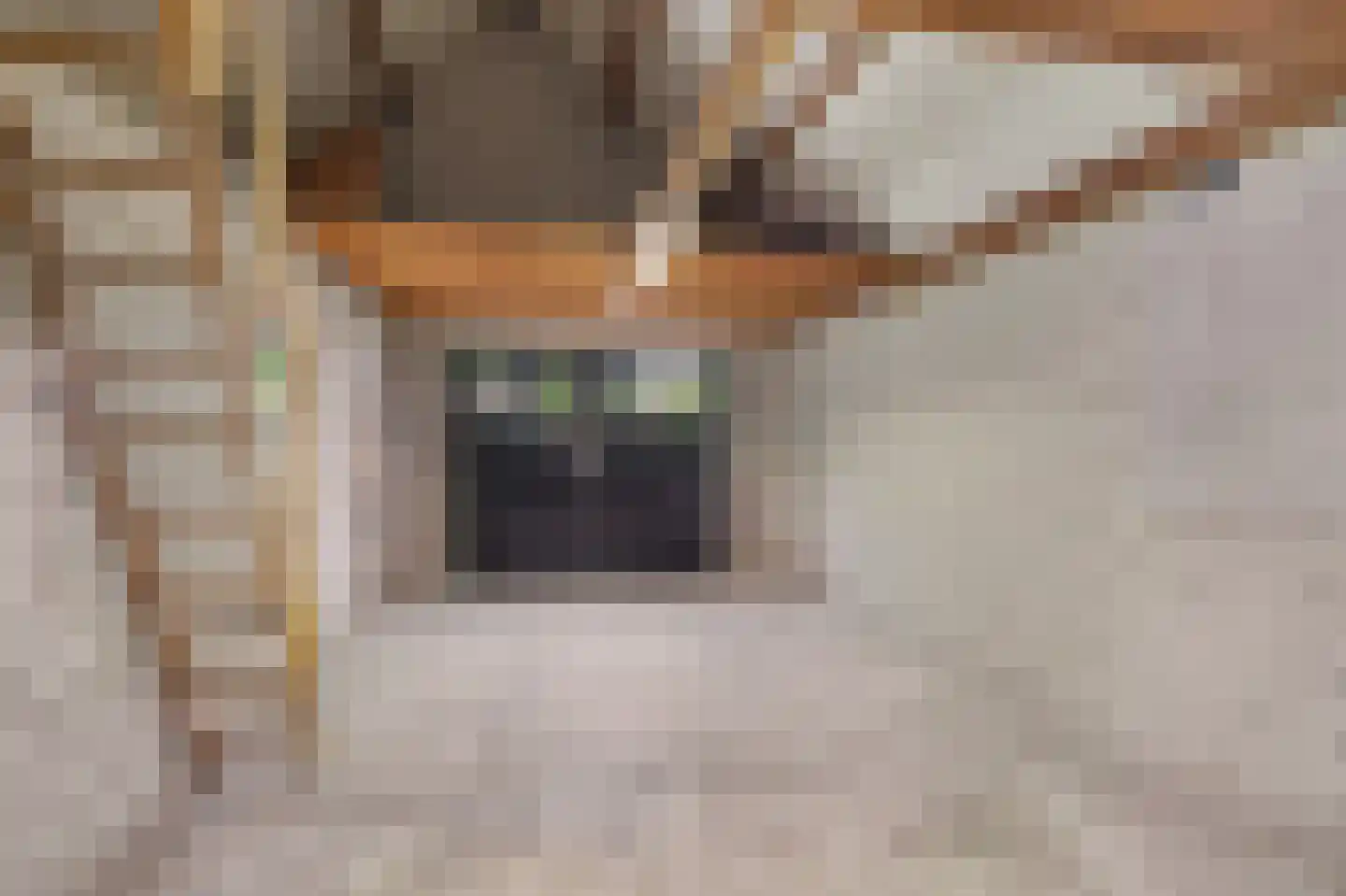 Bieshof 4 Hoogeloon thumbnail 41