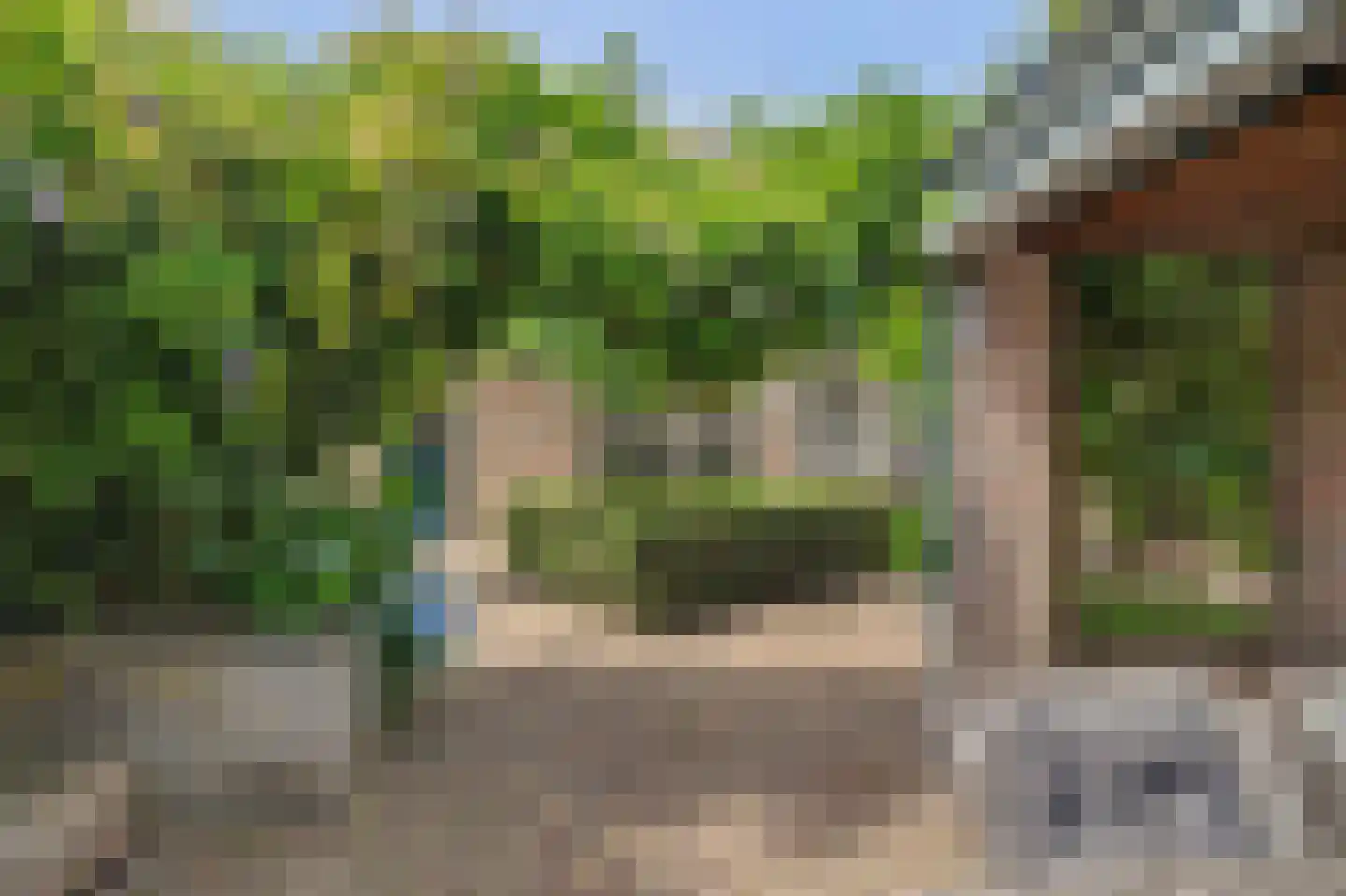 Bieshof 4 Hoogeloon thumbnail 43
