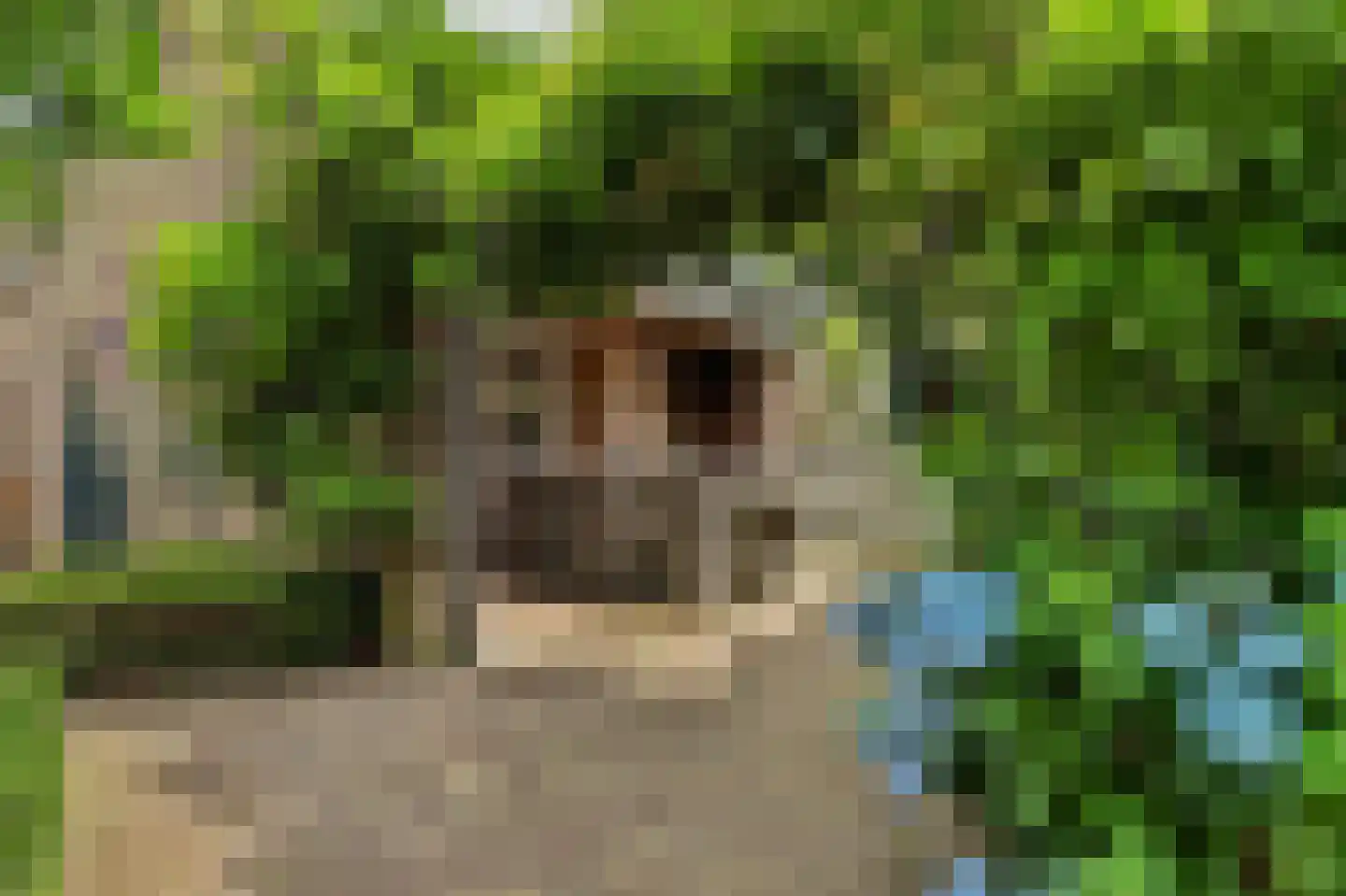 Bieshof 4 Hoogeloon thumbnail 44