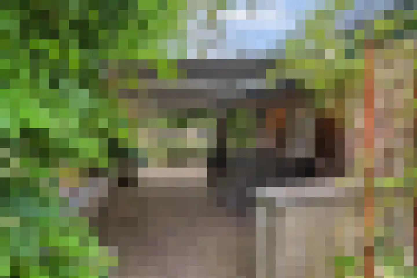 Bieshof 4 Hoogeloon thumbnail 46