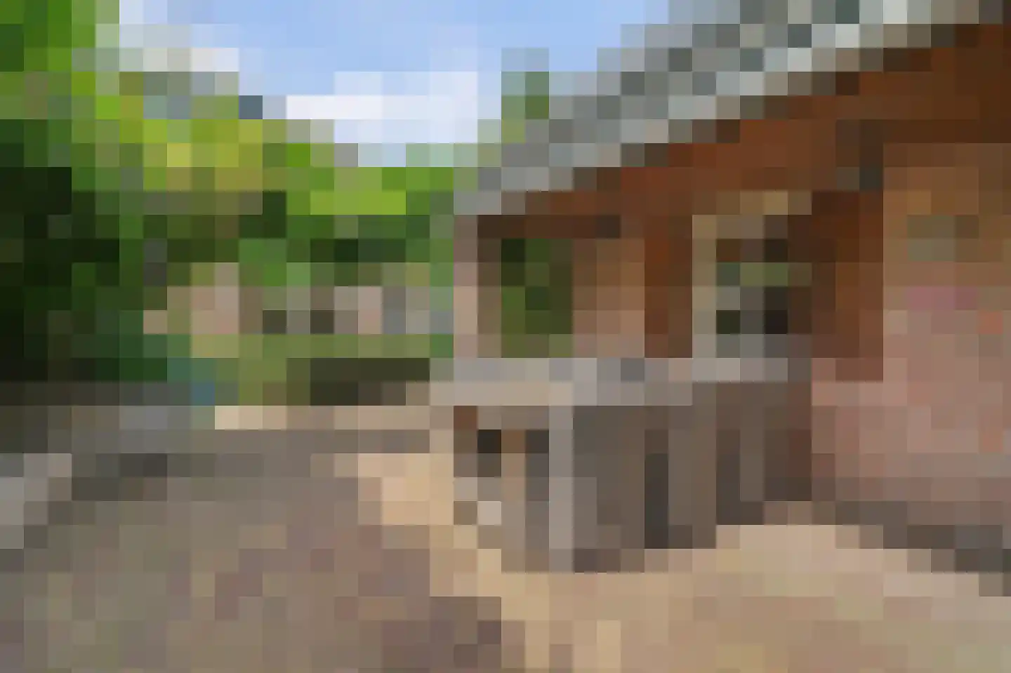 Bieshof 4 Hoogeloon thumbnail 47