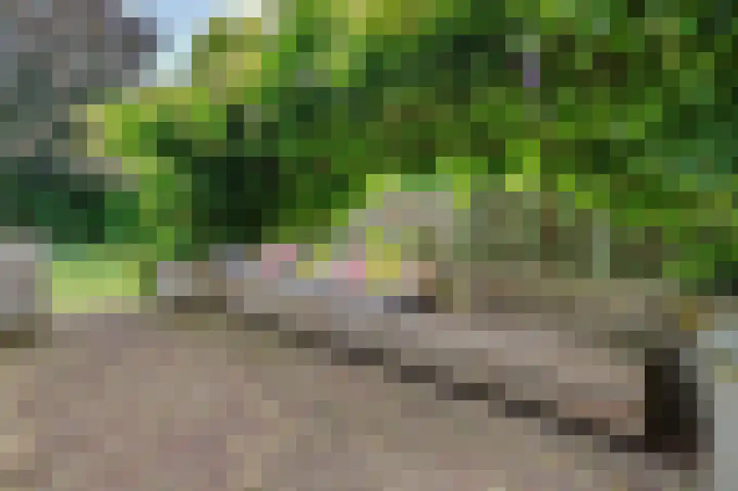 Bieshof 4 Hoogeloon thumbnail 48