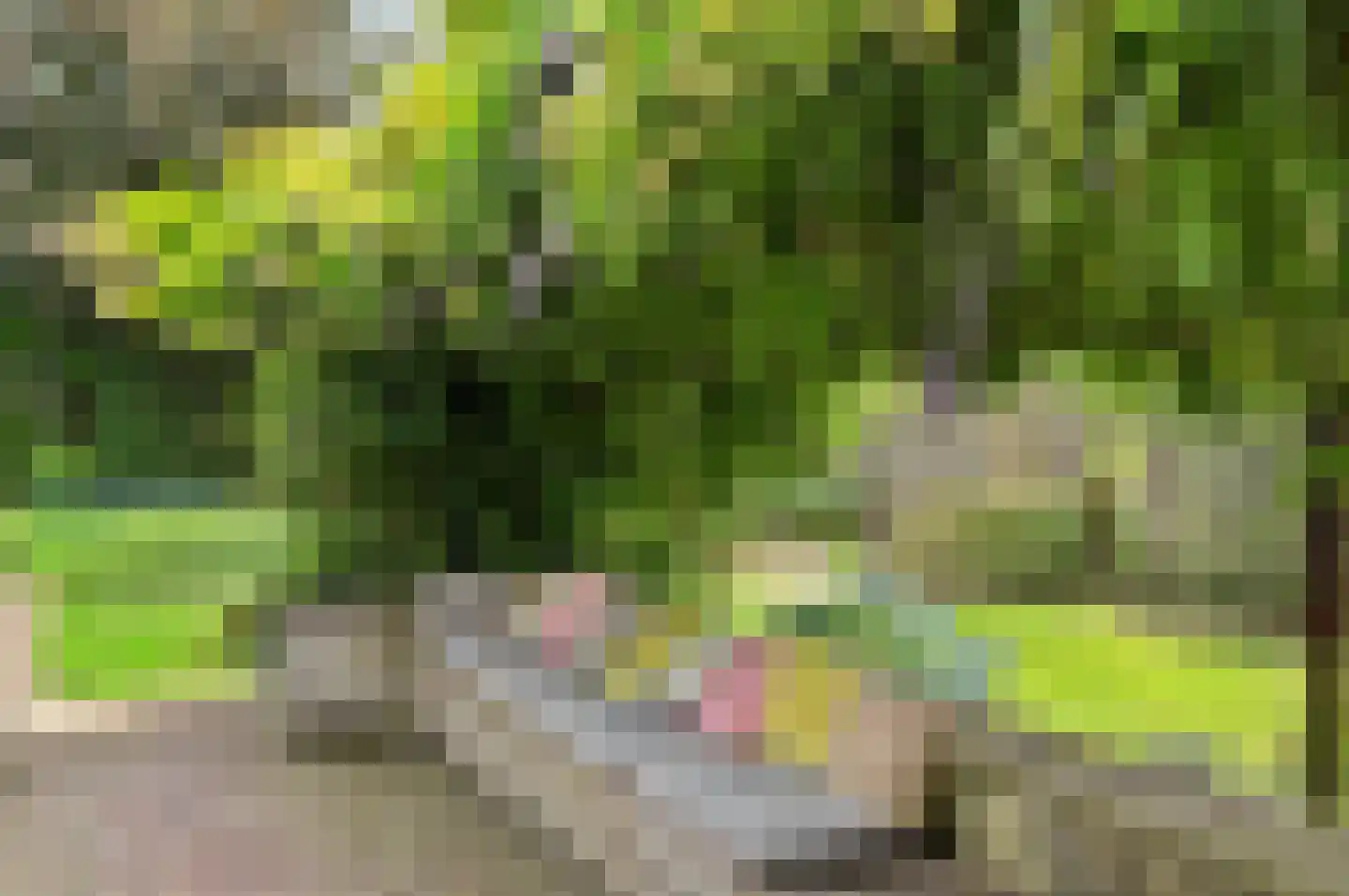 Bieshof 4 Hoogeloon thumbnail 49