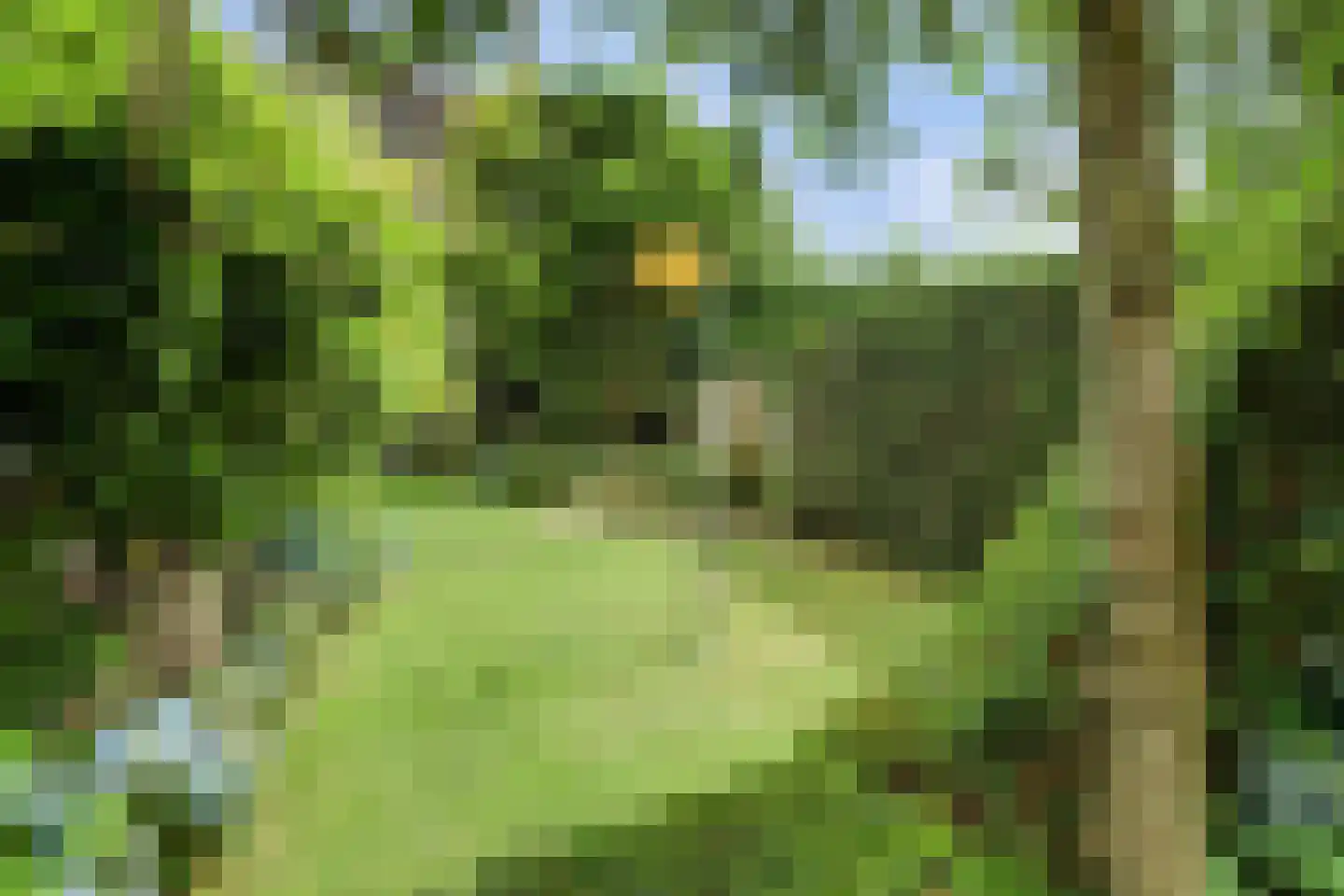 Bieshof 4 Hoogeloon thumbnail 50