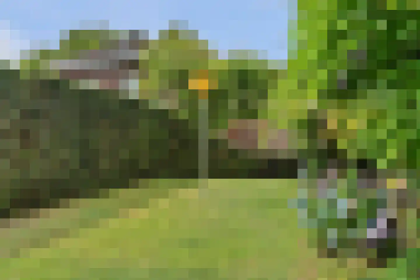 Bieshof 4 Hoogeloon thumbnail 51