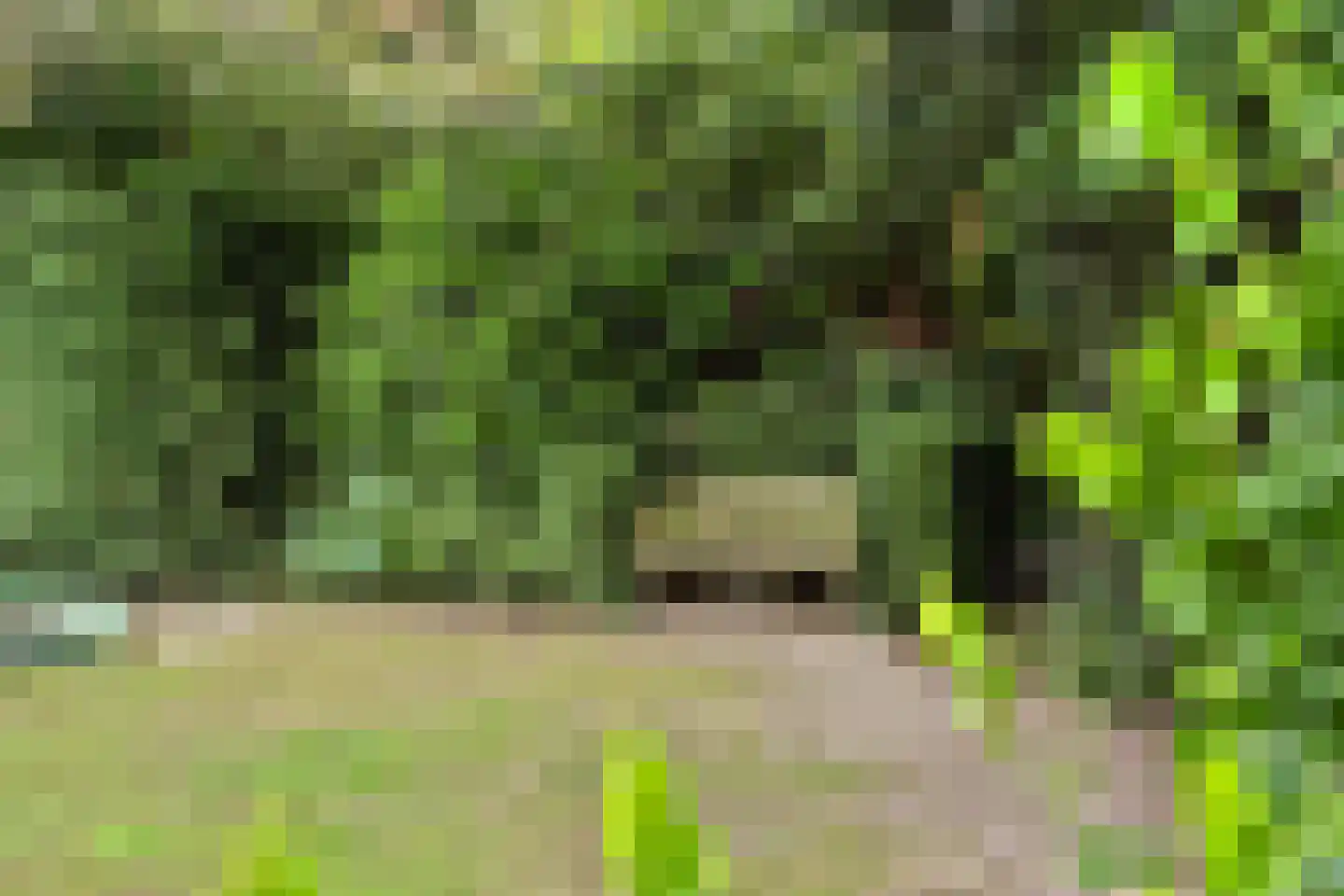 Bieshof 4 Hoogeloon thumbnail 52