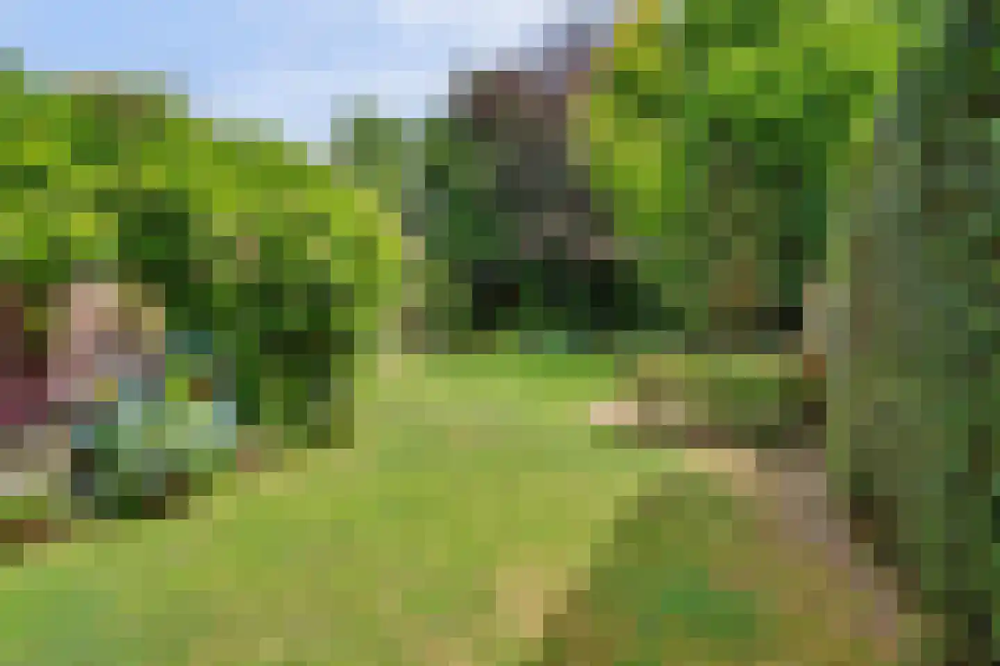 Bieshof 4 Hoogeloon thumbnail 53
