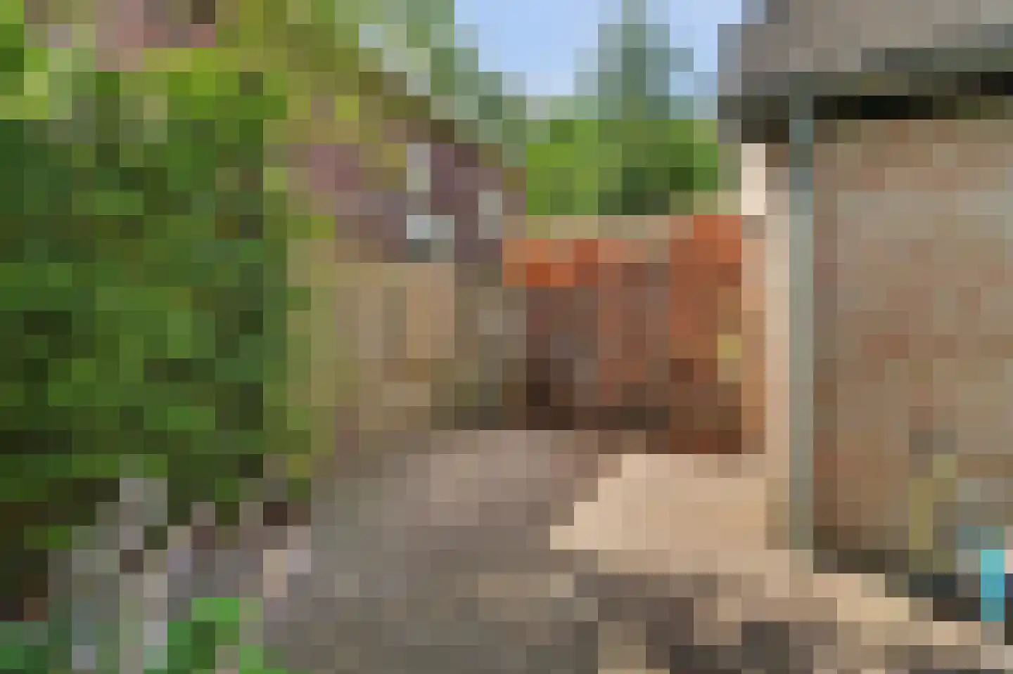 Bieshof 4 Hoogeloon thumbnail 58