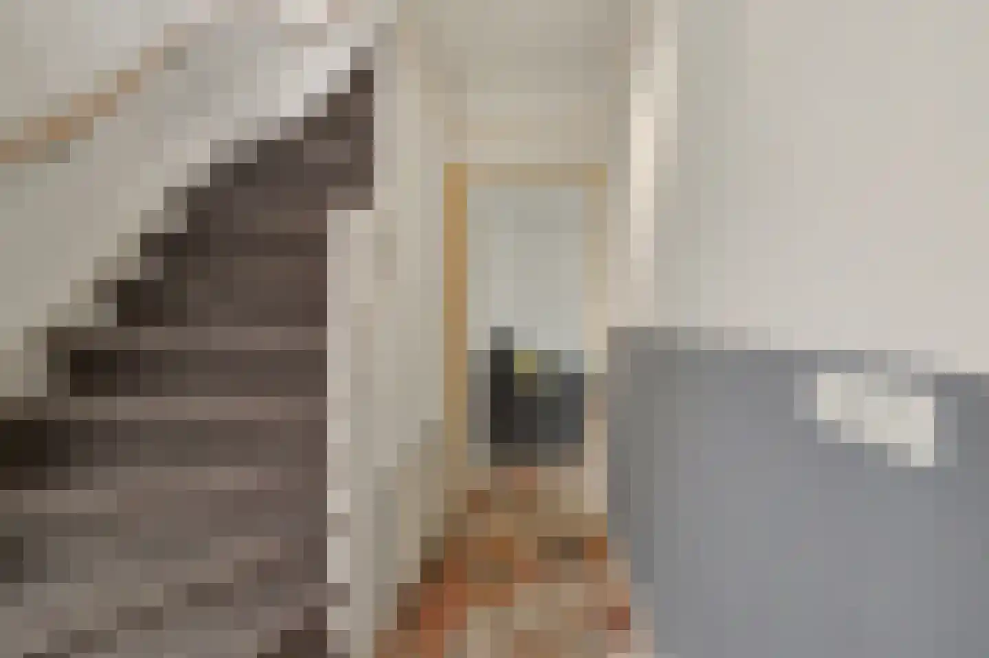 Bieshof 4 Hoogeloon thumbnail 6