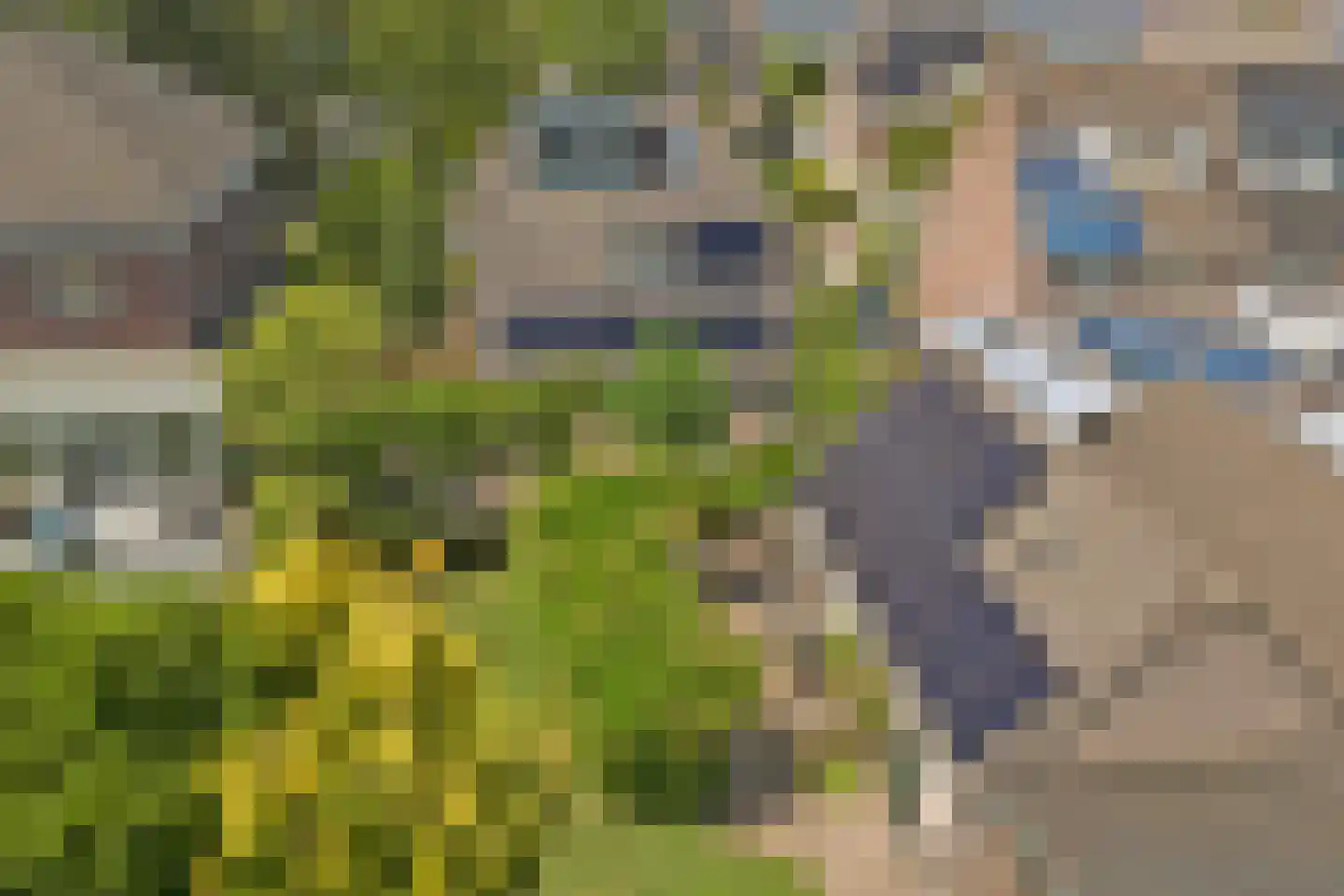 Bieshof 4 Hoogeloon thumbnail 60