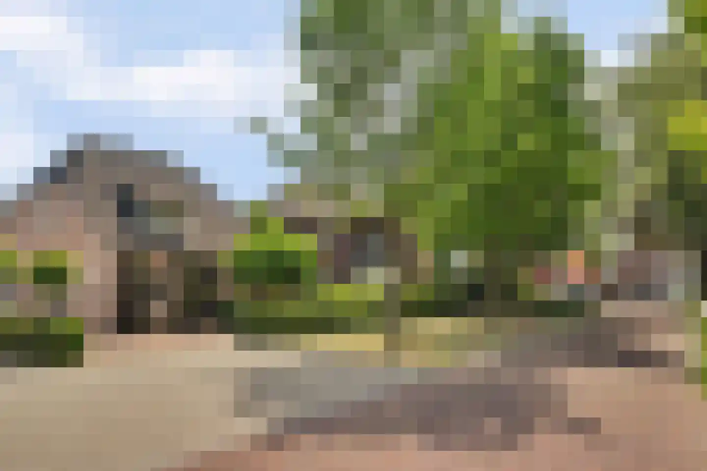 Bieshof 4 Hoogeloon thumbnail 62