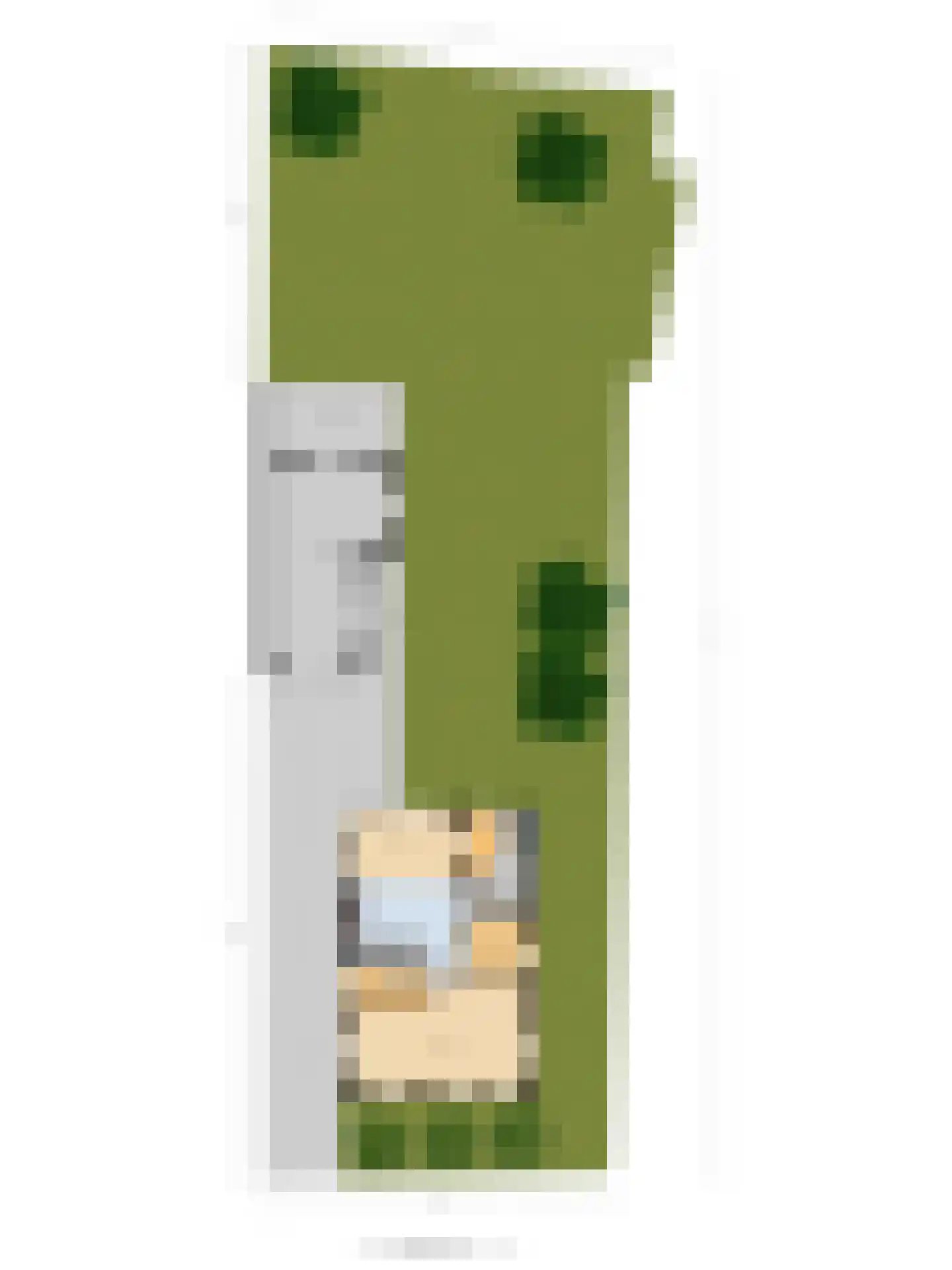 Bieshof 4 Hoogeloon thumbnail 66