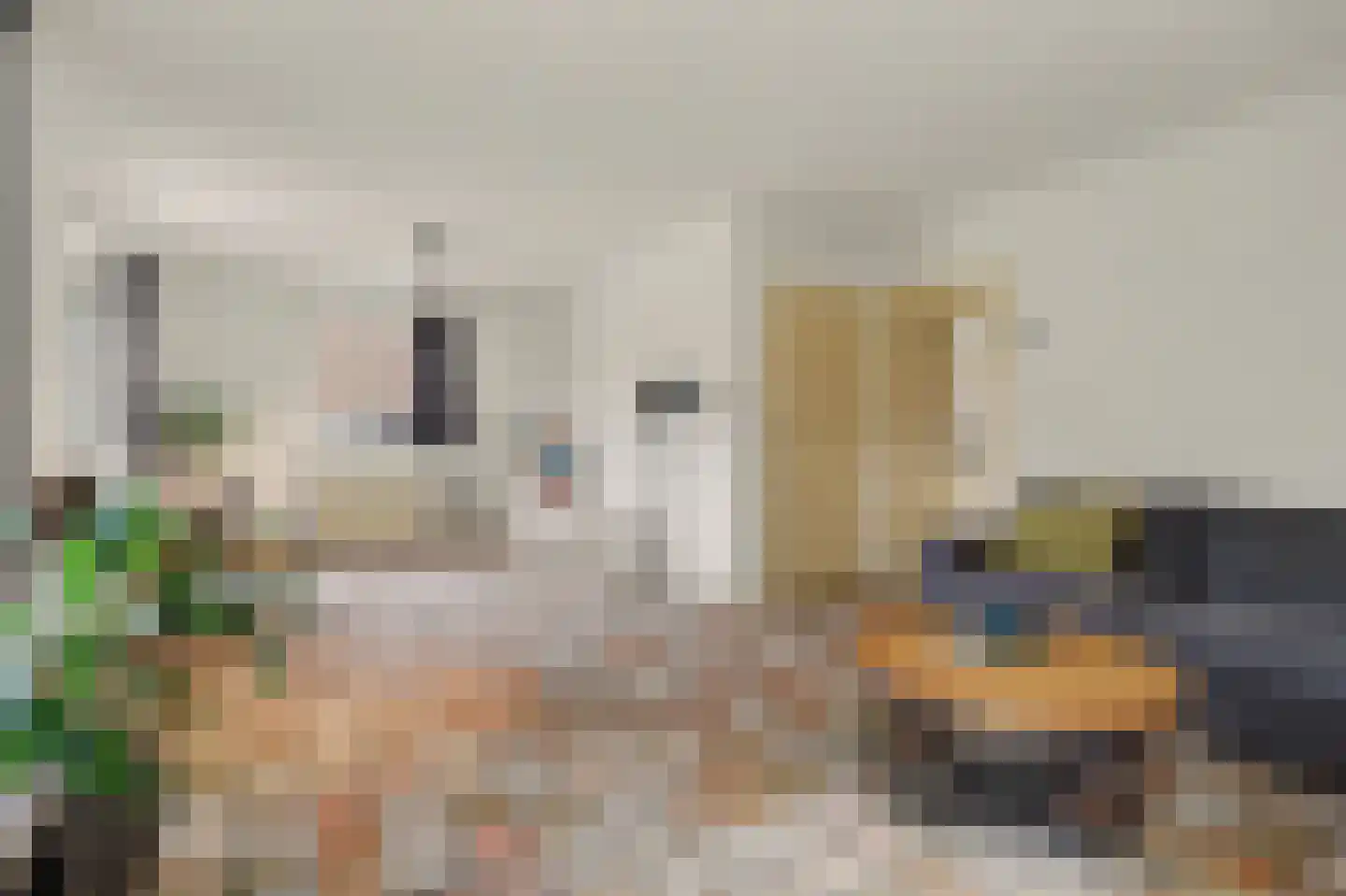 Bieshof 4 Hoogeloon thumbnail 9