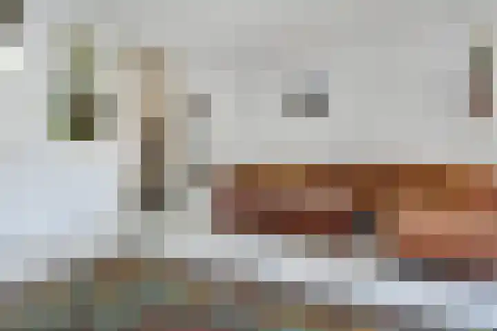 Bieskade 23 Den Haag thumbnail 23
