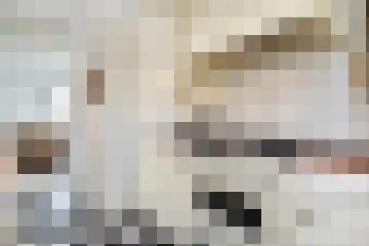 Bieskade 23 Den Haag thumbnail 26