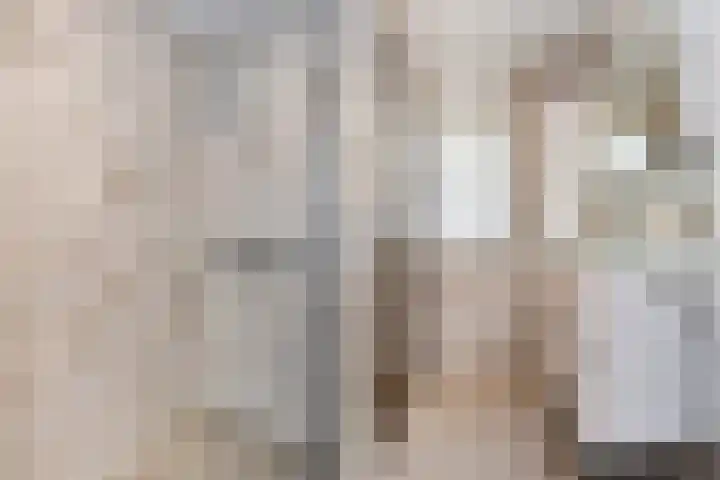 Bieskade 23 Den Haag thumbnail 33