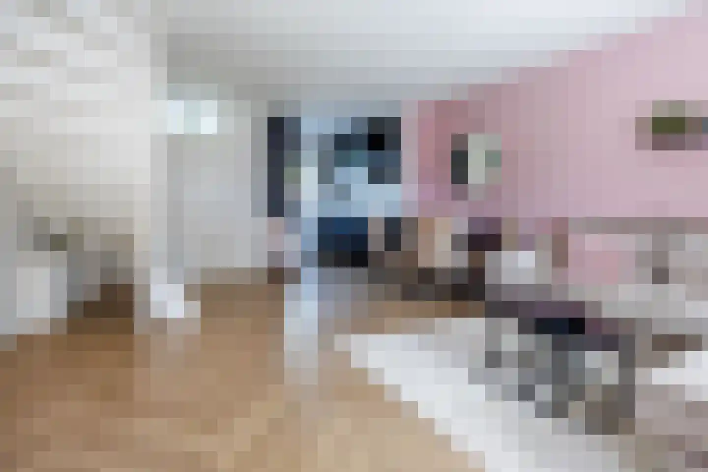 Bieskamp 100 Druten thumbnail 10