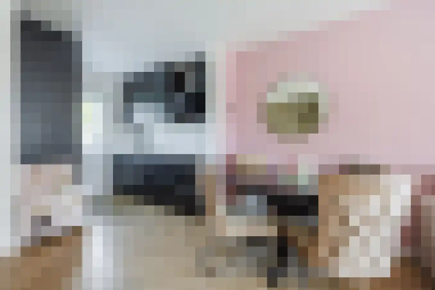 Bieskamp 100 Druten thumbnail 11