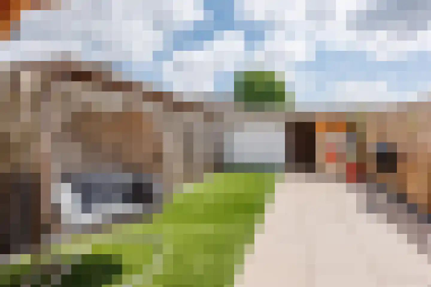 Bieskamp 100 Druten thumbnail 30