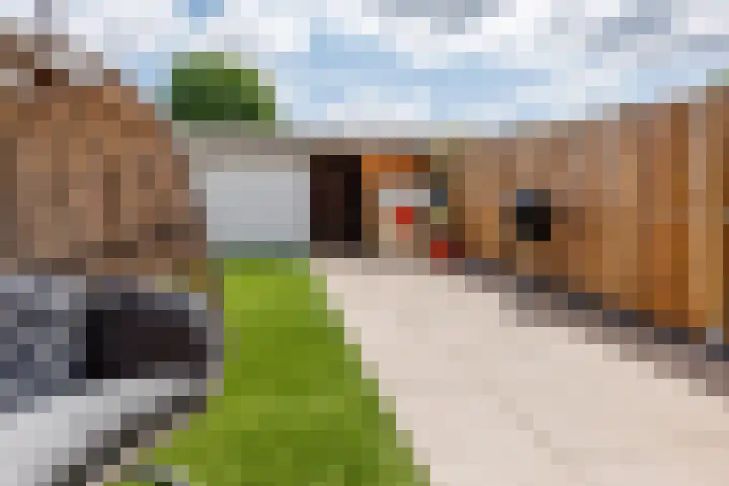 Bieskamp 100 Druten thumbnail 31
