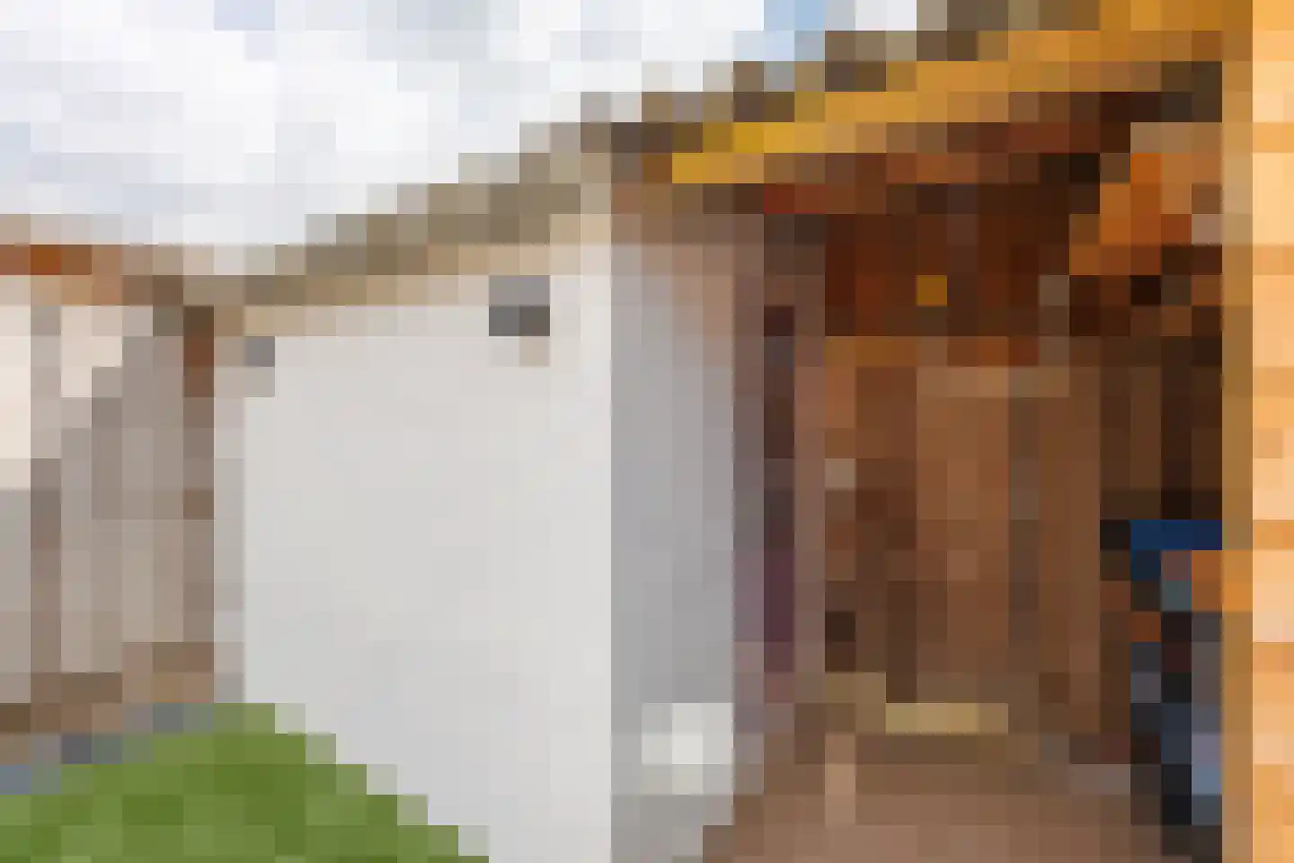 Bieskamp 100 Druten thumbnail 32