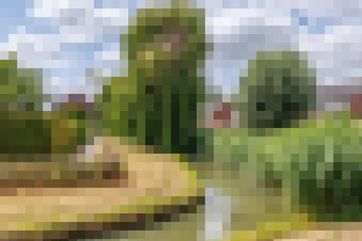 Bieskamp 100 Druten thumbnail 37