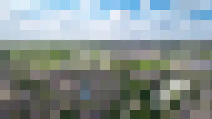 Bieskamp 116 Druten thumbnail 30