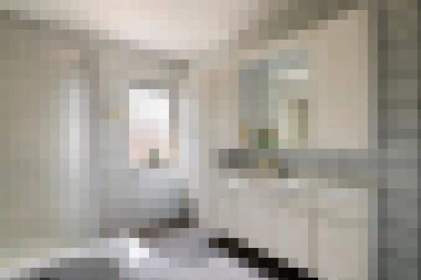 Bieskamp 13 Druten thumbnail 21
