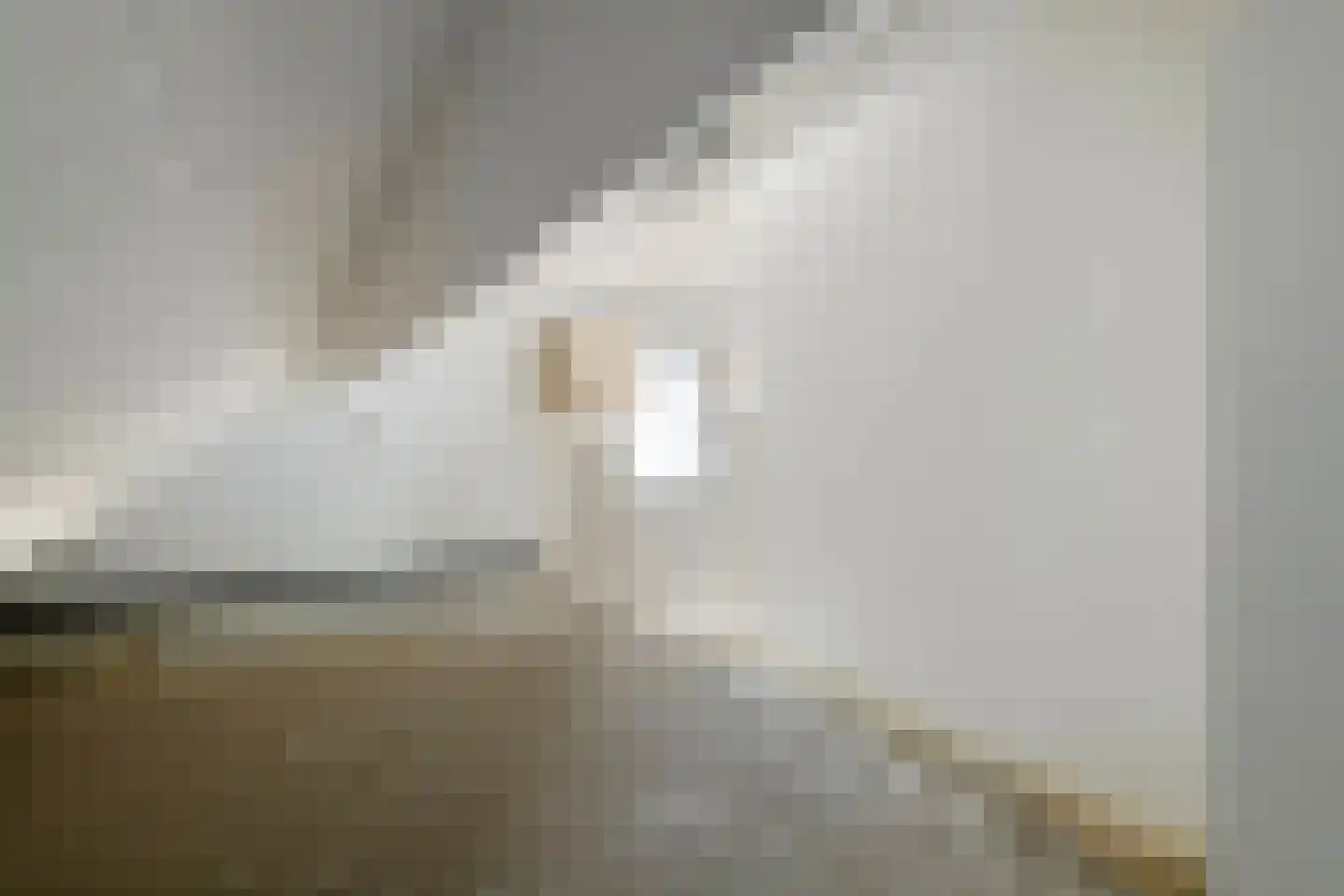 Bieskamp 13 Druten thumbnail 31